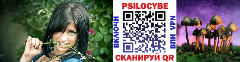 Псилоцибиновые грибы мицелий  omg ТОР  Навашино  купить наркотик 